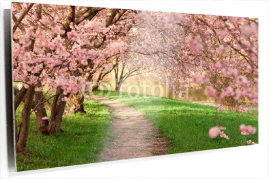 cartoon-wallpaper-22.jpg